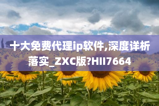 十大免费代理ip软件,深度详析落实_ZXC版?HII7664