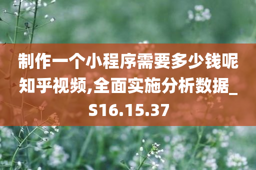 制作一个小程序需要多少钱呢知乎视频,全面实施分析数据_S16.15.37