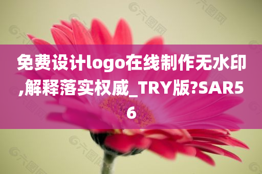 免费设计logo在线制作无水印,解释落实权威_TRY版?SAR56