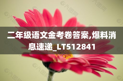 二年级语文金考卷答案,爆料消息速递_LT512841