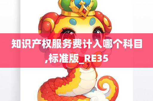 知识产权服务费计入哪个科目,标准版_RE35