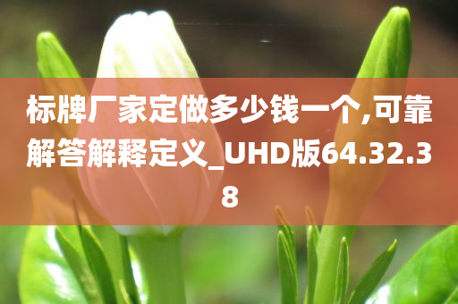 标牌厂家定做多少钱一个,可靠解答解释定义_UHD版64.32.38