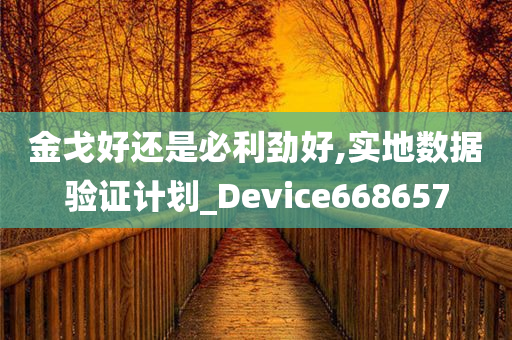 金戈好还是必利劲好,实地数据验证计划_Device668657