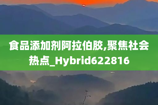 食品添加剂阿拉伯胶,聚焦社会热点_Hybrid622816