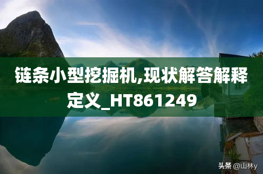 链条小型挖掘机,现状解答解释定义_HT861249