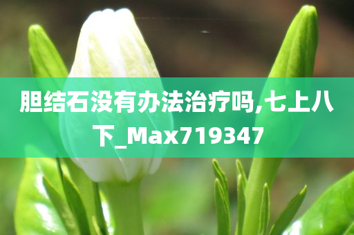 胆结石没有办法治疗吗,七上八下_Max719347