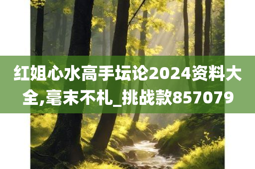 红姐心水高手坛论2024资料大全,毫末不札_挑战款857079