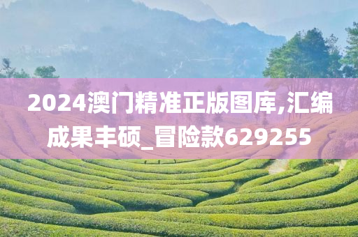 2024澳门精准正版图库,汇编成果丰硕_冒险款629255