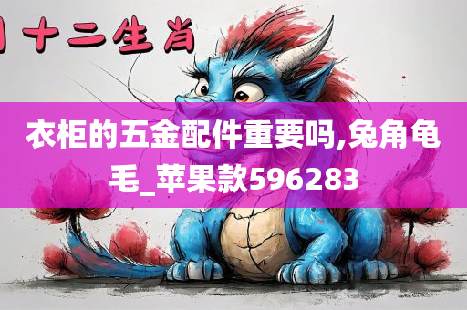 衣柜的五金配件重要吗,兔角龟毛_苹果款596283