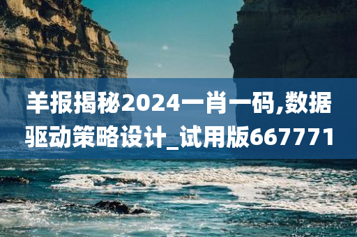 羊报揭秘2024一肖一码,数据驱动策略设计_试用版667771