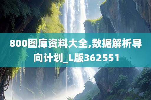 800图库资料大全,数据解析导向计划_L版362551