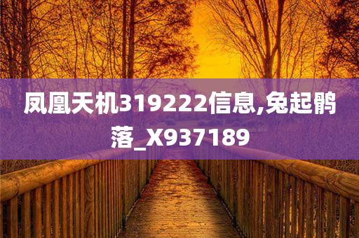 凤凰天机319222信息,兔起鹘落_X937189