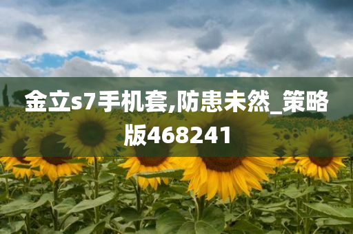 金立s7手机套,防患未然_策略版468241