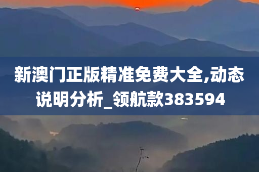 新澳门正版精准免费大全,动态说明分析_领航款383594