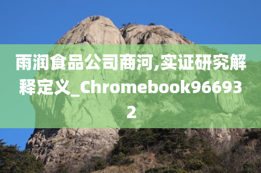 雨润食品公司商河,实证研究解释定义_Chromebook966932