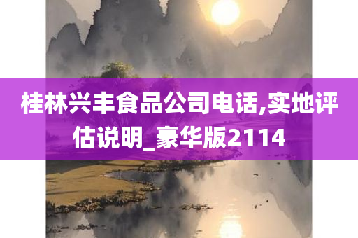 桂林兴丰食品公司电话,实地评估说明_豪华版2114