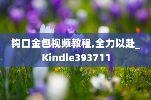 钩口金包视频教程,全力以赴_Kindle393711