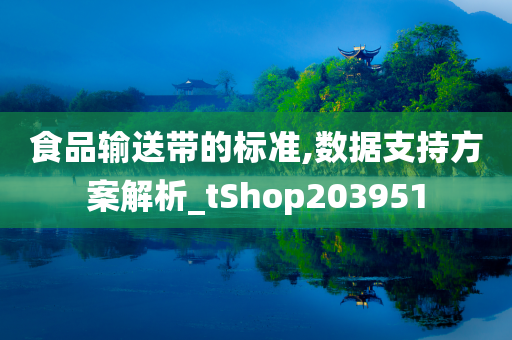 食品输送带的标准,数据支持方案解析_tShop203951