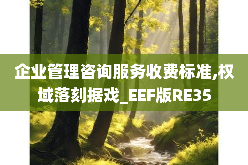 企业管理咨询服务收费标准,权域落刻据戏_EEF版RE35