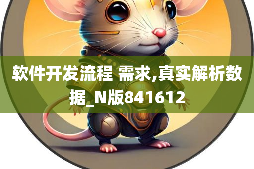 软件开发流程 需求,真实解析数据_N版841612