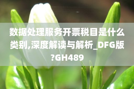 数据处理服务开票税目是什么类别,深度解读与解析_DFG版?GH489