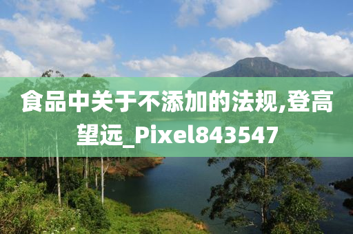 食品中关于不添加的法规,登高望远_Pixel843547