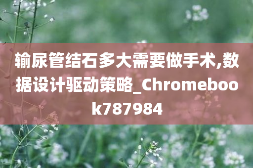 输尿管结石多大需要做手术,数据设计驱动策略_Chromebook787984