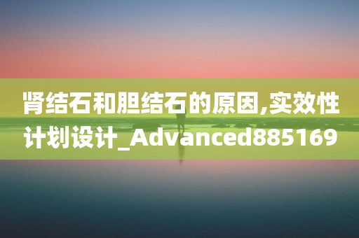 肾结石和胆结石的原因,实效性计划设计_Advanced885169