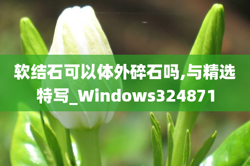 软结石可以体外碎石吗,与精选特写_Windows324871