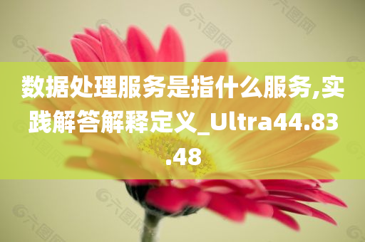 数据处理服务是指什么服务,实践解答解释定义_Ultra44.83.48