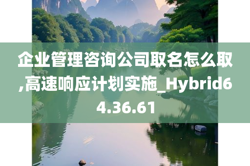 企业管理咨询公司取名怎么取,高速响应计划实施_Hybrid64.36.61