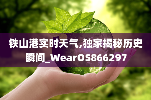 铁山港实时天气,独家揭秘历史瞬间_WearOS866297