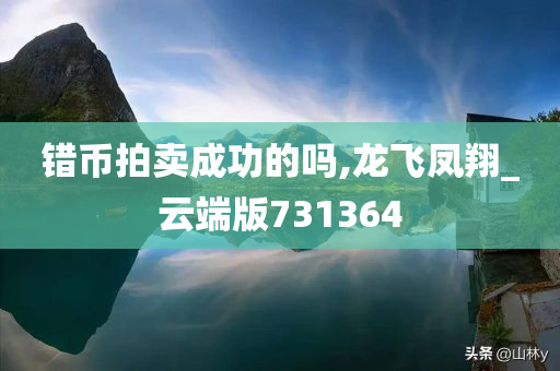 错币拍卖成功的吗,龙飞凤翔_云端版731364