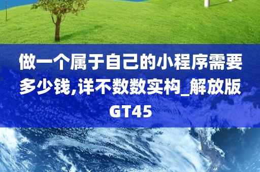 做一个属于自己的小程序需要多少钱,详不数数实构_解放版GT45