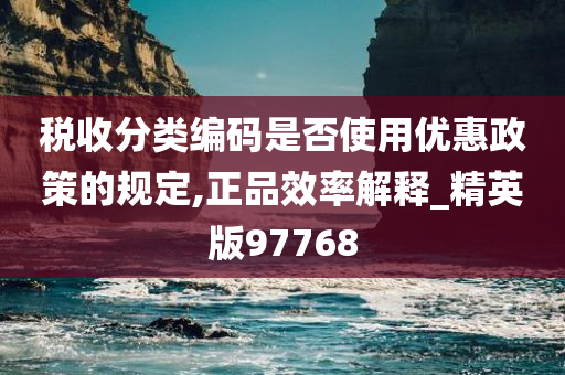 税收分类编码是否使用优惠政策的规定,正品效率解释_精英版97768