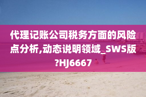 代理记账公司税务方面的风险点分析,动态说明领域_SWS版?HJ6667