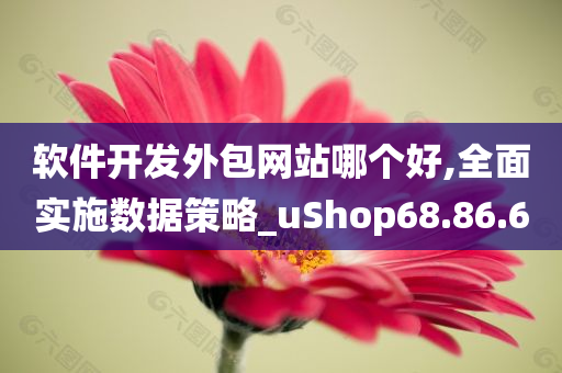 软件开发外包网站哪个好,全面实施数据策略_uShop68.86.60