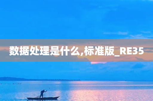 数据处理是什么,标准版_RE35