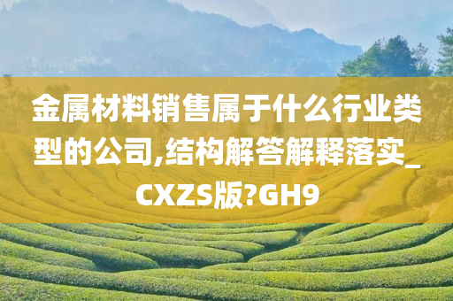 金属材料销售属于什么行业类型的公司,结构解答解释落实_CXZS版?GH9