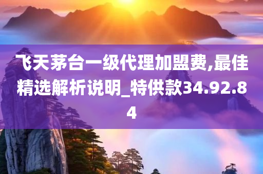 飞天茅台一级代理加盟费,最佳精选解析说明_特供款34.92.84