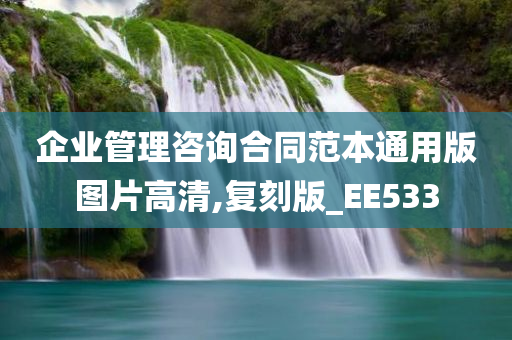 企业管理咨询合同范本通用版图片高清,复刻版_EE533