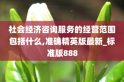 社会经济咨询服务的经营范围包括什么,准确精英版最新_标准版888