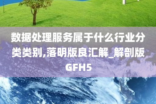 数据处理服务属于什么行业分类类别,落明版良汇解_解剖版GFH5