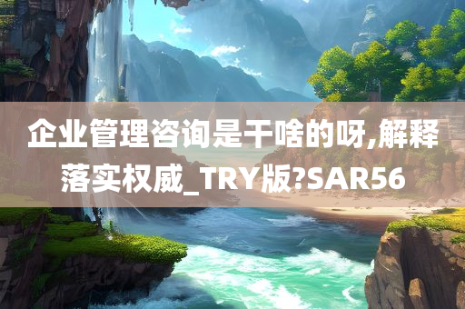 企业管理咨询是干啥的呀,解释落实权威_TRY版?SAR56