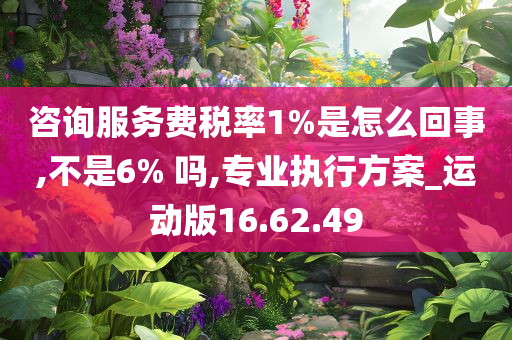 咨询服务费税率1%是怎么回事,不是6% 吗,专业执行方案_运动版16.62.49