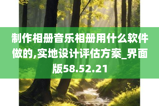 制作相册音乐相册用什么软件做的,实地设计评估方案_界面版58.52.21