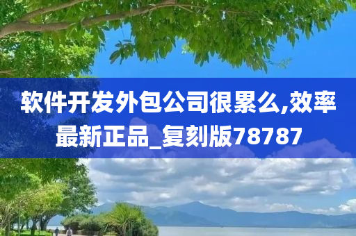 软件开发外包公司很累么,效率最新正品_复刻版78787