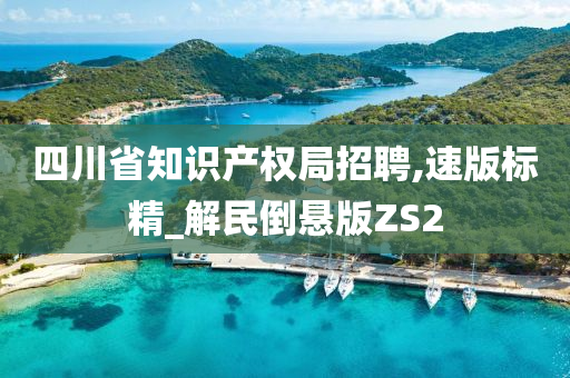 四川省知识产权局招聘,速版标精_解民倒悬版ZS2