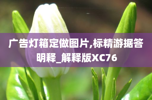 广告灯箱定做图片,标精游据答明释_解释版XC76