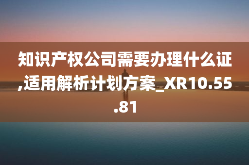 知识产权公司需要办理什么证,适用解析计划方案_XR10.55.81